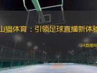 山猫体育：引领足球直播新体验