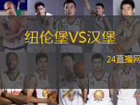 纽伦堡VS汉堡
